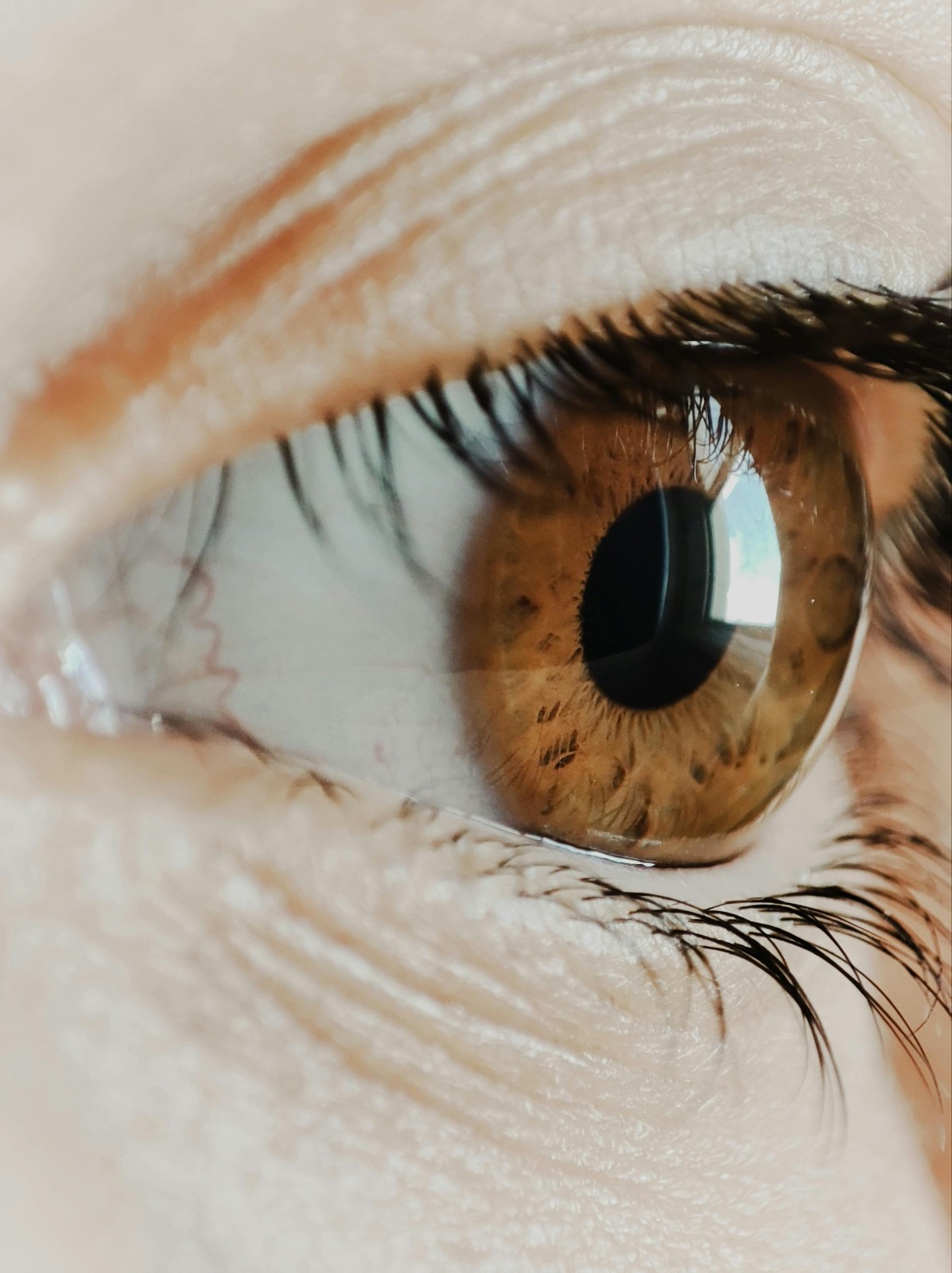 The FOCUS Lens