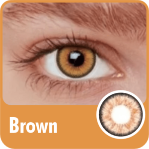 Brown 3-Tone Contact Lenses